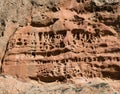 Tafoni weathering in red sandstone Royalty Free Stock Photo