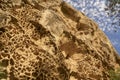 Tafonis in the province of Malaga. Geomorphological cavity carved by erosion in sandstone rocks. Spain