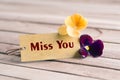 Miss you tag Royalty Free Stock Photo