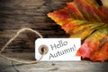 Tag with Hello Autumn