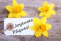 Tag with Joyeuses PÃ¯Â¿Â½ques