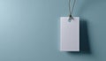 Tag With No Information Or Label Royalty Free Stock Photo