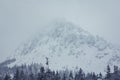 Taganai nature park with view of mountains and forest, Ural, Russia