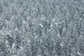 Taganai nature park with view of mountains and forest, Ural, Russia