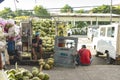 Tagaytay, Cavite, Philippines - A worker sits on a jeep loaded with coconuts. A supplier delivering coconuts