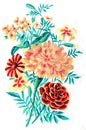 Tagetes lucida, vintage engraving Royalty Free Stock Photo
