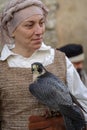 Falconry Display Royalty Free Stock Photo