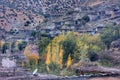 Taghia vilage in autumn