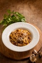 tagliatelle with cep and parsley Royalty Free Stock Photo