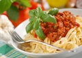 Tagliatelle with meat sauce Royalty Free Stock Photo