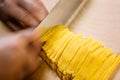 Tagliolini. Traditional italian fresh thin ribbon shaped pasta