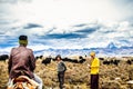 Tagong grassland, China on 12th May 2015 - View on Tibetan nomads and Yak cattles Royalty Free Stock Photo