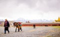 Tagong Temple on the Tagong Grassland in Ganzi Prefecture, Sichuan Province on 12th May 2015 - Temple and npmadtd with horses
