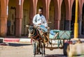 Tagounite, Morocco - October 10, 2013. Life on the street - man riding on the donkey with wagon