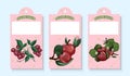 Tags for jars. Strawberry, raspberry and apple. Homemade jam. Kitchen emblems. Homemade home cooking