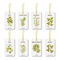 Tags with legumes plants with leaves, pods and flowers