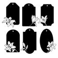 4084 tags, Vector illustration, set of floral tags, labels with flowers, drawing in black, isolate on white Royalty Free Stock Photo