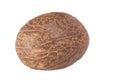 Tagua Nut Royalty Free Stock Photo