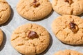 Tahini Cookies with walnut Royalty Free Stock Photo