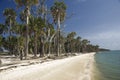 Tahiti Beach