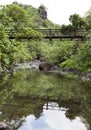 Tahiti. The bridge through the river in mountains