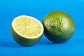 Tahiti lemon on blue background - Citrus Ãâ latifolia - Text space