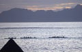 Tahiti. Silhouettes of boats with rowers at sunset in the sea.