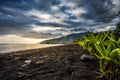 123 Tahiti sunset Royalty Free Stock Photo