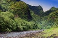 Tahiti.Tropical nature and mountain river against the blue sky