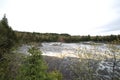 Tahquamenon Falls - Lower in Spring Royalty Free Stock Photo