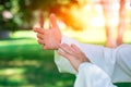 Tai chi chuan hands Royalty Free Stock Photo