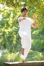 tai chi chuan master workout in park Royalty Free Stock Photo