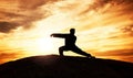 Tai chi, exercise and man at sunset to practice a spiritual workout in nature with an athlete. Silhouette, martial arts