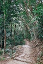 the tai mo shan country park, hk Dec 22 2023