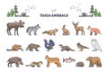 Taiga animals collection with natural habitat creatures type outline set