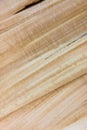 Taiga birch wood grain texture pattern background Royalty Free Stock Photo