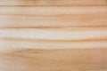 Taiga birch wood grain texture pattern background Royalty Free Stock Photo