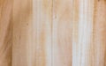 Taiga birch wood grain texture pattern background Royalty Free Stock Photo