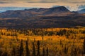 Taiga in Fall