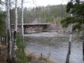 Taiga forest and a river in Buryatia. Siberia.