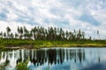 Taiga lake. Siberia,Russia Royalty Free Stock Photo