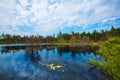 Taiga lake. Siberia,Russia Royalty Free Stock Photo