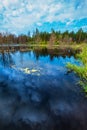 Taiga lake. Siberia,Russia Royalty Free Stock Photo