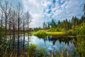 Taiga lake. Siberia,Russia Royalty Free Stock Photo