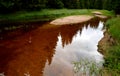 Peat rusty water in a stream with yellow river sand deposits and grassy banks in a spruce forest in the mountains