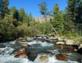 The taiga river.