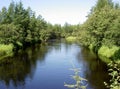 The taiga river the Shaft on Sakhalin Royalty Free Stock Photo