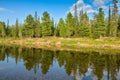 Taiga river Shchugor in the national Park Yugyd VA