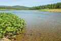 Taiga river Shchugor in the national Park Yugyd VA