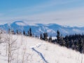 Taiga snowshoe path winter landscape Yukon Canada Royalty Free Stock Photo